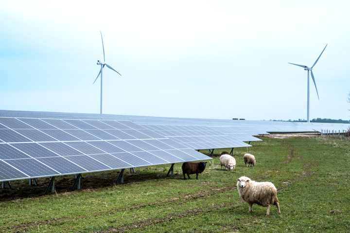 Fremtidens vedvarende energiproduktion kommer til at kræve mere plads. Derfor skal vi sikre, at vi kan producere mest mulig vedvarende energi på mindst mulig plads - som for eksempel i hybridparker med både sol, vind og plads til natur.