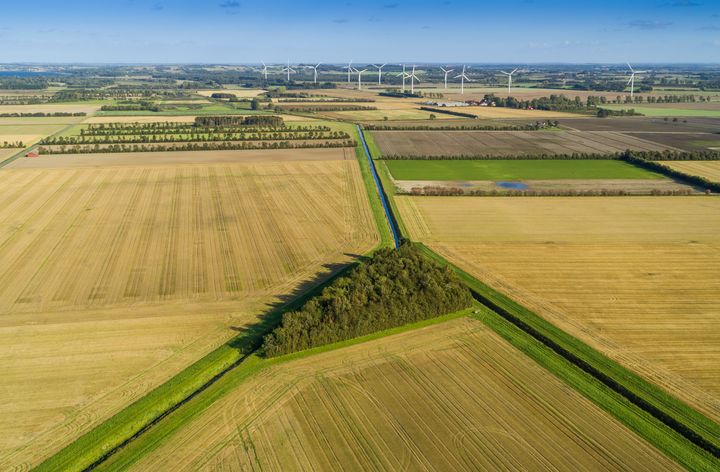 Danmarks landskaber står over for en uundgåelig transformation, for det ikke muligt at løse klimakrisen uden at forvalte vores arealer anderledes. Drivhusgasudledningerne skal ned, optaget af CO2 i skove og jorder skal øges, og landskabet skal rustes til at håndtere de uundgåelige klimaforandringer. Ny rapport fra CONCITO peger på løsningsveje.