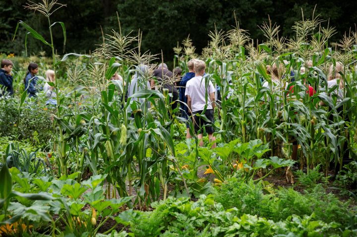 Frederiksberg Kommune har indgået samarbejde med Den Grønne Rygrad for at styrke den grønne dannelse i grundskolen.