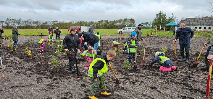 Når den nye Folkeskov indvies og fejres... indvies børn og voksne til at deltage og håndplante nogle af træerne i den nye Folkeskov.