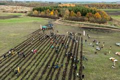 Første skovbadeskov på Sjælland blev indviet 13. november. Himmelev Skovbadeskov er den første skovbadeskov på Sjælland, beliggende i Folkeskoven i Himmelev skov der plantes og plejes af Naturstyrelsen. Træerne er doneret af Toyota Danmark.