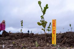 De 130 fremmødte voksne og børn kunne inden de skulle håndplante træer dekorere en personlig plantepind som de kunne sætte ved siden af deres træ.