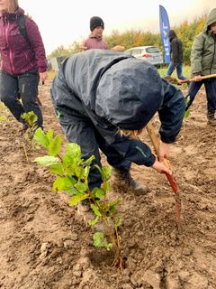 Til indvielsen af Vandling Folkeskov kunne de fremmødte håndplante det antal træer de havde lyst til.