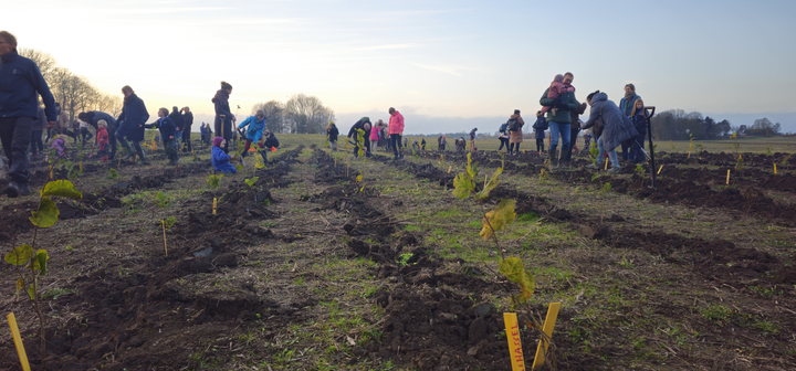 Indvielse af skovbadeskov med håndplantning af træer
