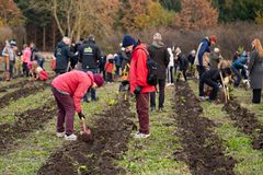 Håndplantning af træer til indvielse af Folkeskov