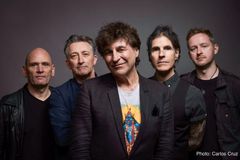 The Chameleons