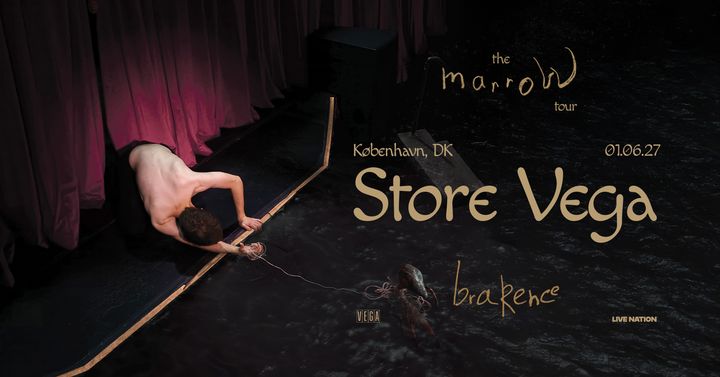 Artwork til brakence koncert i 2027