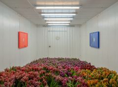 Villiam Miklos Andersen, Flora's Wagons of Fools, 2024.