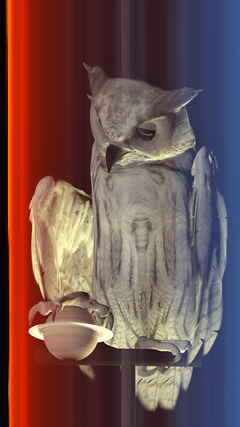Ann Lislegaard, Oracles, Owls… some animals never sleep, 2012–2021