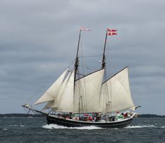 Bonavista