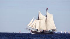 Bonavista