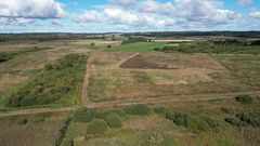 Åmosen er et stort naturområde på Vestsjælland, hvor undersøgelsen er foretaget.