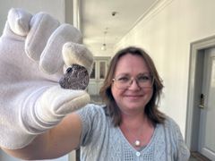 Gitte Tarnow Ingvardson with one of the coins. Photo: John Fhær Engedal Nissen, the National Museum of Denmark.