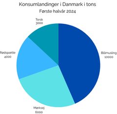 Oversigt over konsumlandinger i det første halvår af 2024.