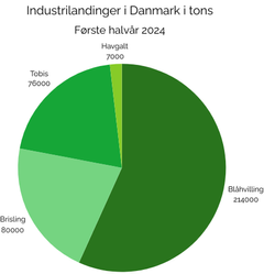 Oversigt over industrilandinger i det første halvår af 2024.