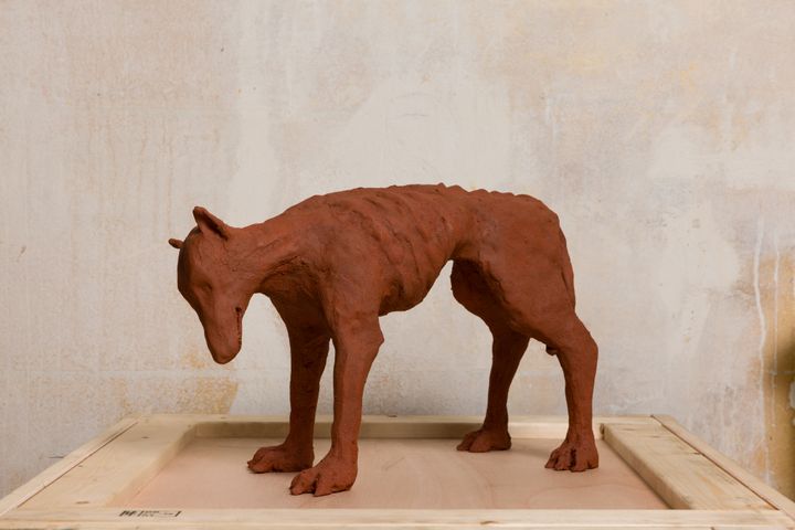 Skulptur af hund: Karim Boumjimar, "Zaatar", 2026.