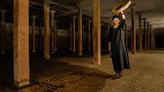 Sonic Architecture er en koncertoplevelse med den prisvindende slagtøjsspiller Ying-Hsueh Chen, hvor musik og arkitektur smelter sammen i den underjordiske Observatoriebeholder ved Ole Rømer Observatoriet.