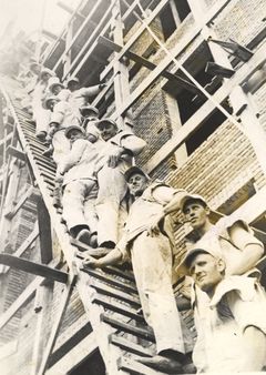 Murere på stige, 1934