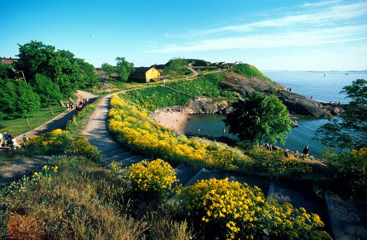 Landskab med en sti omgivet af gule blomster og grønt græs, der fører til en bakke med udsigt over havet.