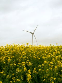 Dette er den eneste kommercielle vindmølle på land, som kom i drift i 2023. Den står ved Marsvinslund i Silkeborg Kommune