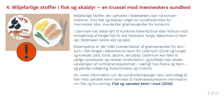 Udklip%20fra%20Analysen%20fra%20T%E6nketanken%20Hav%2C%20Milj%F8farlige%20stoffer%20i%20fisk%20og%20skaldyr%20%u2013%20en%20trussel%20mod%20menneskers%20sundhed