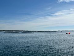 Grønsund Havbrug