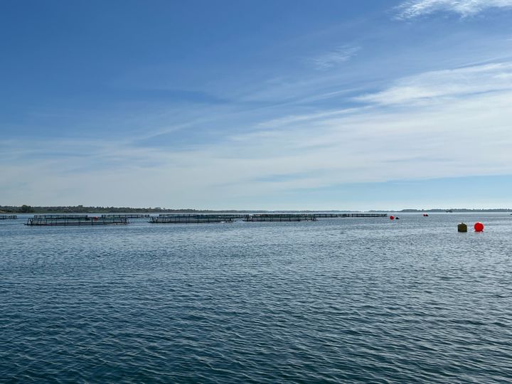 Grønsund Havbrug