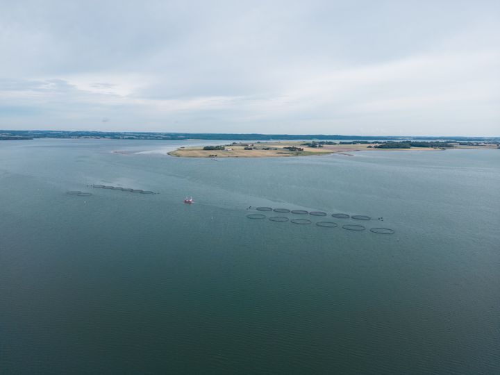 Havbrug