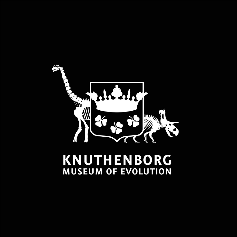 Museum of Evolution logo