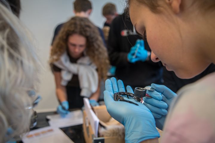 Foto: Statens Naturhistoriske Museum