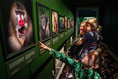 Foto: Frederik Wolff - Statens Naturhistoriske Museum