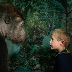 Foto: Frederik Wolff - Statens Naturhistoriske Museum