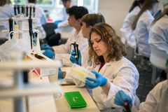 Gymnasieelever arbejder med DNA-materiale i Next Generation Lab. Foto: Frederik Wolff Nisbeth Teglhus, Statens Naturhistoriske Museum