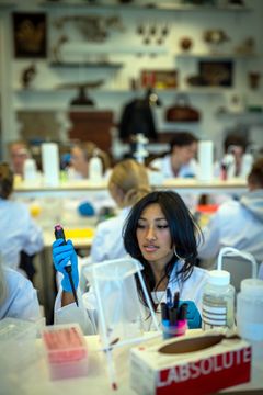 Gymnasieelever arbejder med DNA-materiale i Next Generation Lab. Frederik Wolff Nisbeth Teglhus, Statens Naturhistoriske Museum