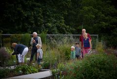 Botanisk Have