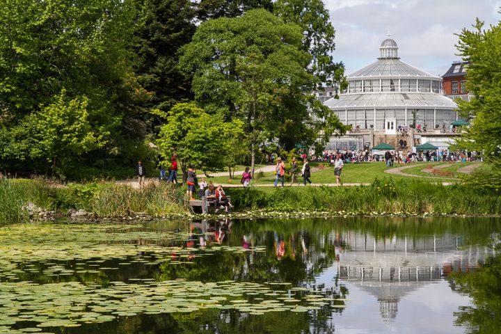 Botanisk Have med det ikoniske palmehus.