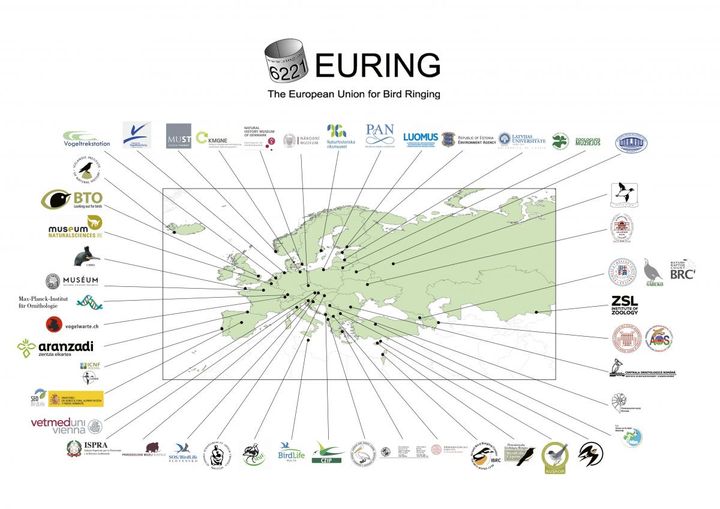 Statens%20Naturhistoriske%20Museum%20er%20medlem%20af%20EURING%20%u2013%20Den%20Europ%E6iske%20Sammenslutning%20af%20Ringm%E6rkningscentraler.%20Da%20fugle%20frit%20passerer%20politiske%20landegr%E6nser%2C%20er%20et%20internationalt%20samarbejde%20essentielt.%20EURINGs%20form%E5l%20er%20at%20organisere%20og%20standardisere%20europ%E6isk%20videnskabelig%20ringm%E6rkning.%20I%20EURINGs%20databank%20samles%20genfund%20af%20alle%20fugle%20ringm%E6rket%20i%20Europa.