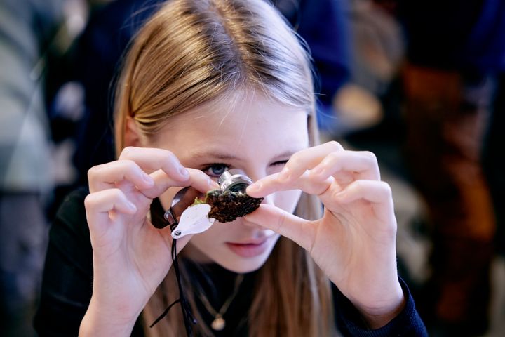 Næsten 28.000 folkeskoleelever deltog i Masseeksperimentet '23.