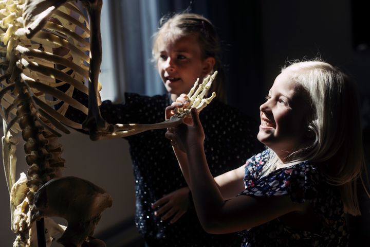 Der er masser af eventyr og oplevelser på Statens Naturhistoriske Museum i vinterferien.