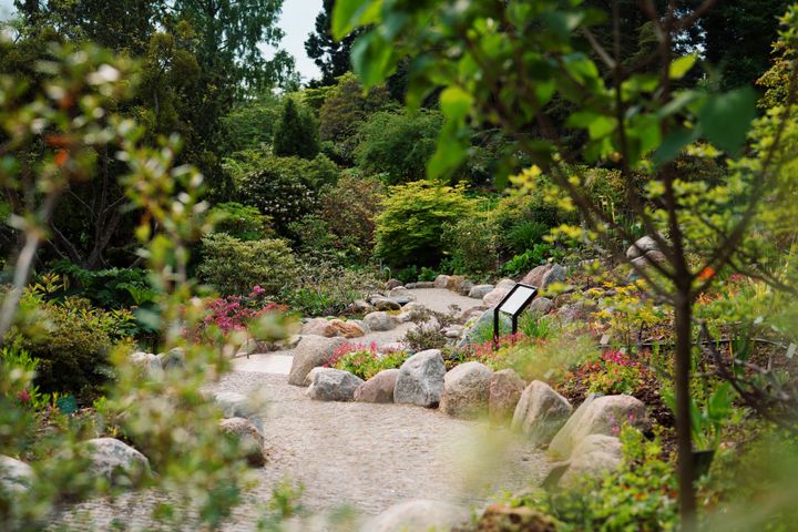 Rododendron-kvarterets%20snoede%20stier.