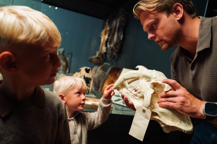 FossilFestival 2025, Statens Naturhistoriske Museum