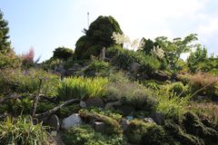 Stenhøjen i Botanisk Have