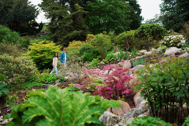 Rododendron-kvarteret%20i%20Botanisk%20Have