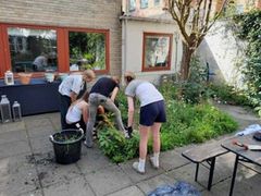 Unge vedligeholder deres Plads til liv-område på Vesterbro ungdomsgård.