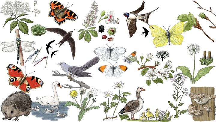 Illustrationer%20af%20de%2020%20for%E5rstegn.