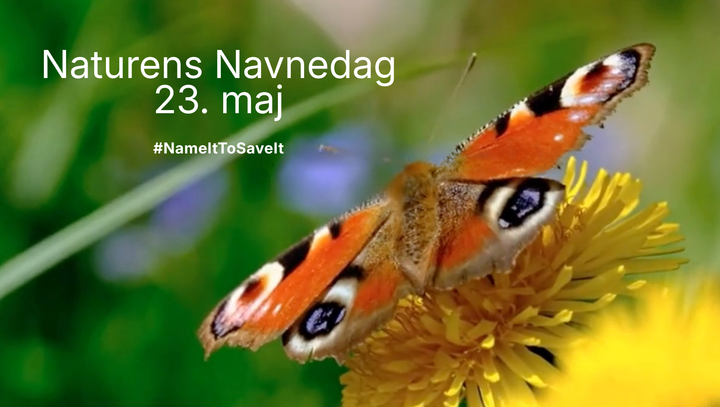 Naturens Navnedag kampagnebillede