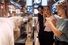 Museumsgæster gikker på isbjørnen i udstillingen i Vilde Vidunderlige Verden.