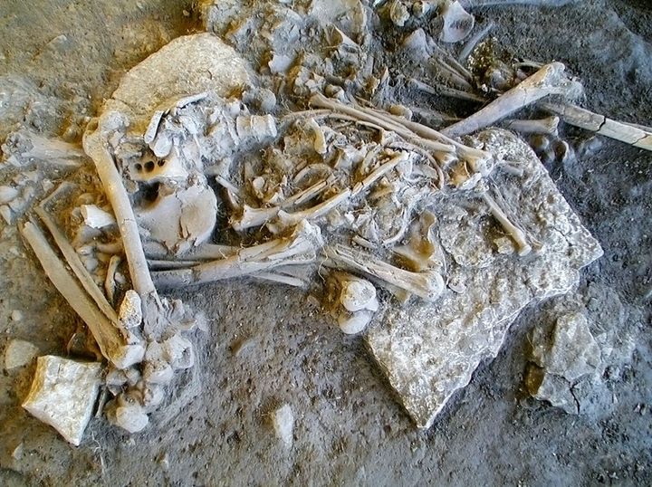 Et af de komplette skeletter udgravet fra jættestuen ved Frälsegården.