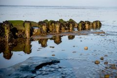 Milliondonation til ambitiøs udvikling af Naturcenter Tønnisgård på Rømø, hvor øens mange gæster vil få en bedre forståelse Vadehavs enestående natur og kulturhistorie.