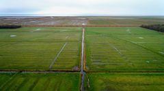 Luftfoto af Tøndermarsken med grønne marker og vandløb.